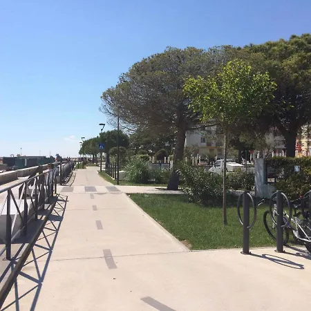 In 38308 ביביונה